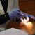 Ortodonta: aparaty ortodontyczne Clear Aligner Wrocław