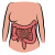 Anatomia dla początkujących – układ pokarmowy. Co się dzieje dalej z jedzeniem po ich przełknięciu?